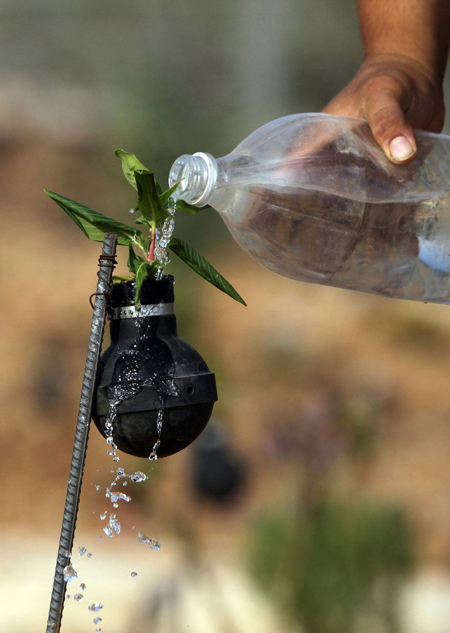 Palestinian Woman Plants Flowers In Israeli Army Tear Gas Grenades