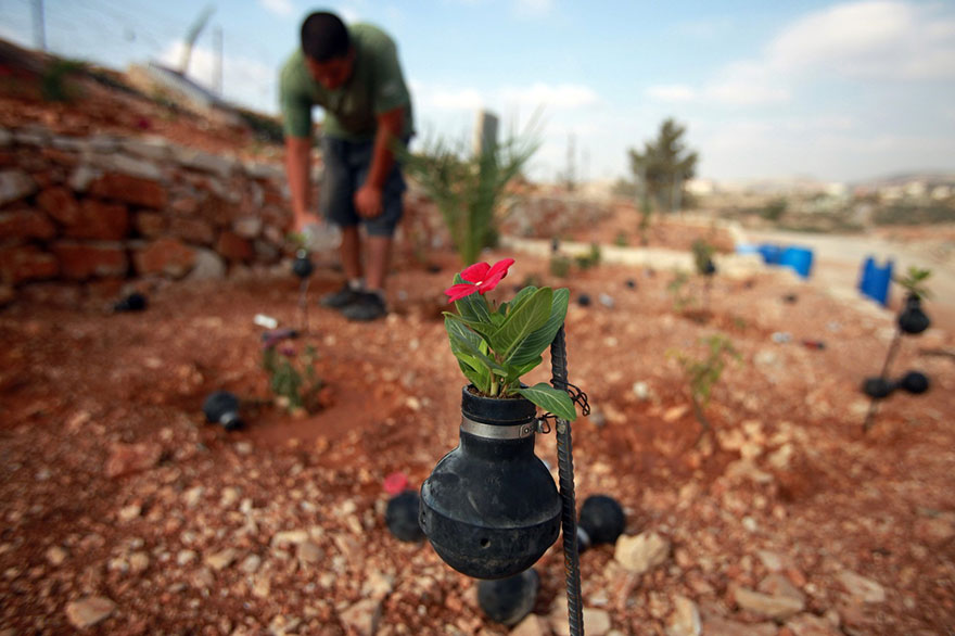 tear-gas-flower-pots-palestine-8
