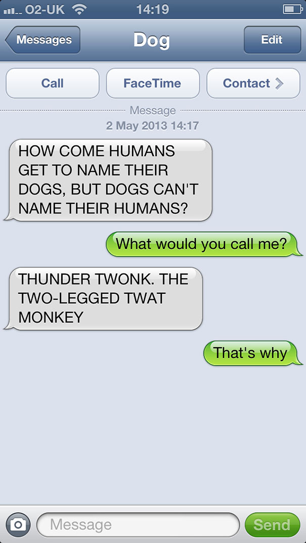 What If Dogs Could Text? 25 Hilarious Texts From Dogs