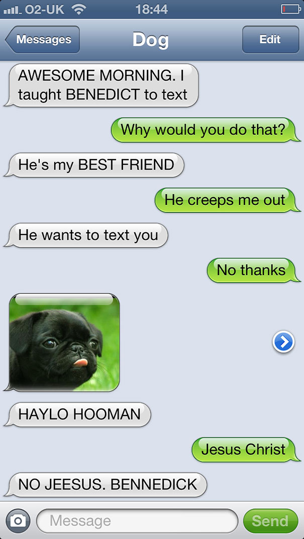 What If Dogs Could Text? 25 Hilarious Texts From Dogs