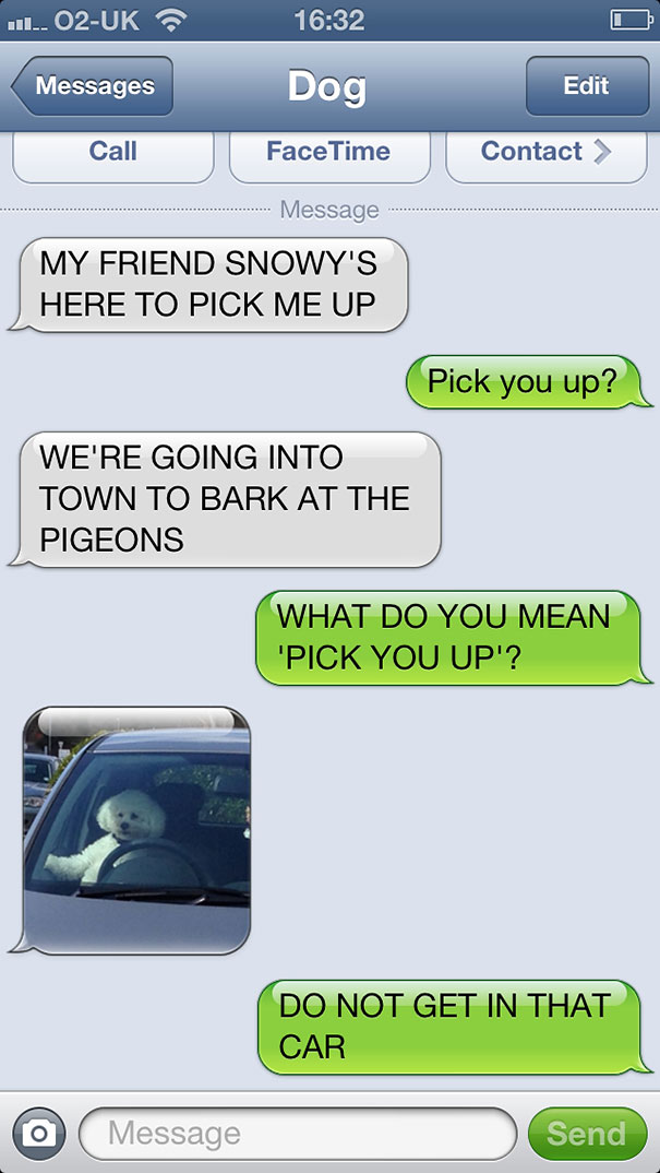 texts-from-dog-5