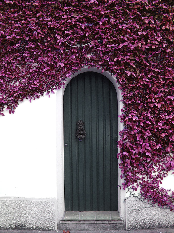 30 Beautiful Doors That Seem To Lead To Other Worlds