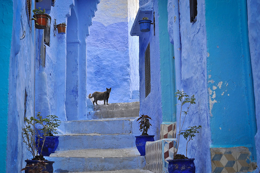 This Old Town In Morocco Is Covered In Blue Paint | Bored Panda