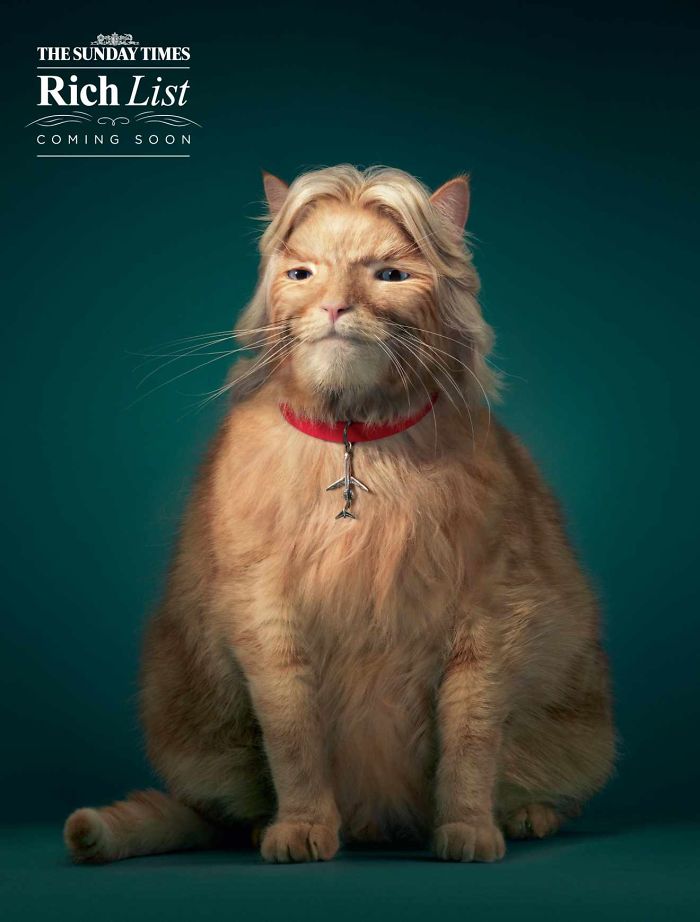 25 Cute And Funny Print Ads Starring Animals | Bored Panda