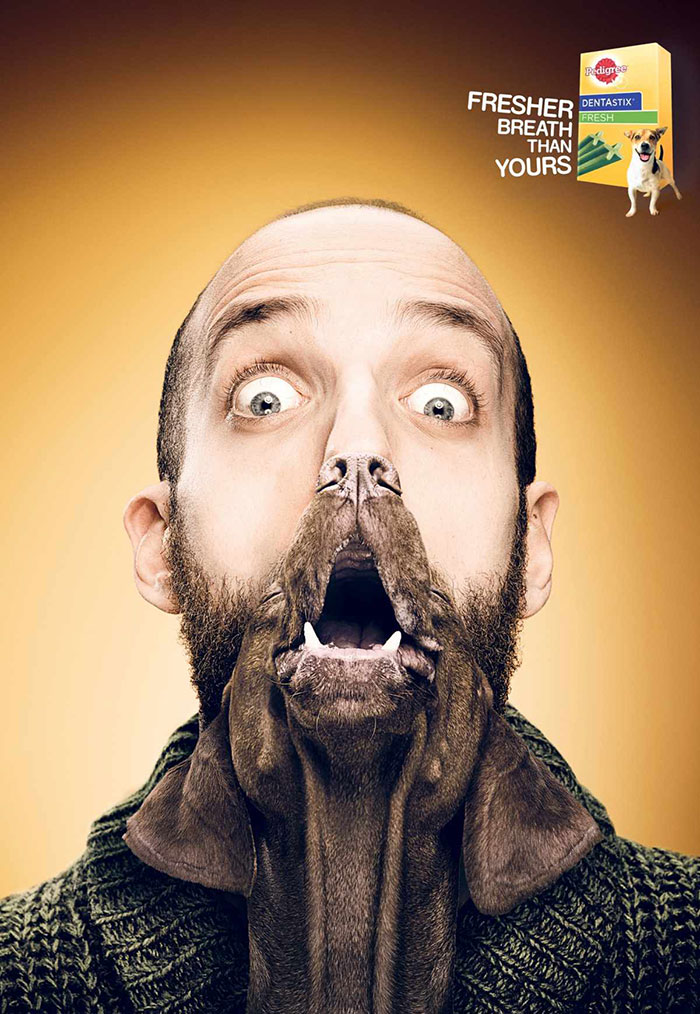 25 Cute And Funny Print Ads Starring Animals