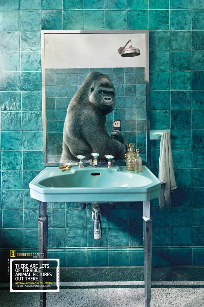 25 Cute And Funny Print Ads Starring Animals Bored Panda 25 Cute And Funny Print Ads Starring Animals Bored Panda