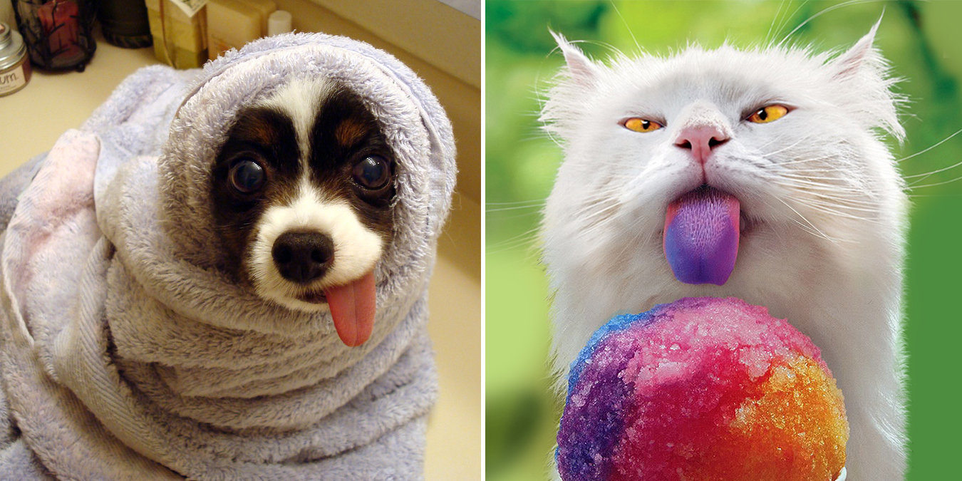 20 Cute And Hilarious Animals With Their Tongues Sticking Out | Bored Panda