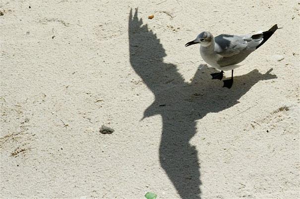 25 Photos Of Shadows That Tell A Different Story | Bored Panda