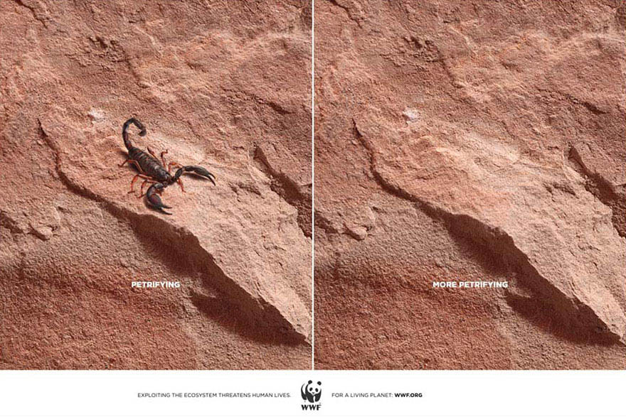33 Powerful Animal Advertisement Examples That Tells The Uncomfortable Truth