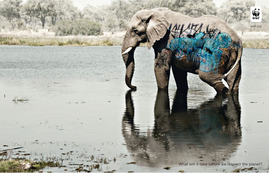 33 Powerful Animal Advertisement Examples That Tells The Uncomfortable Truth