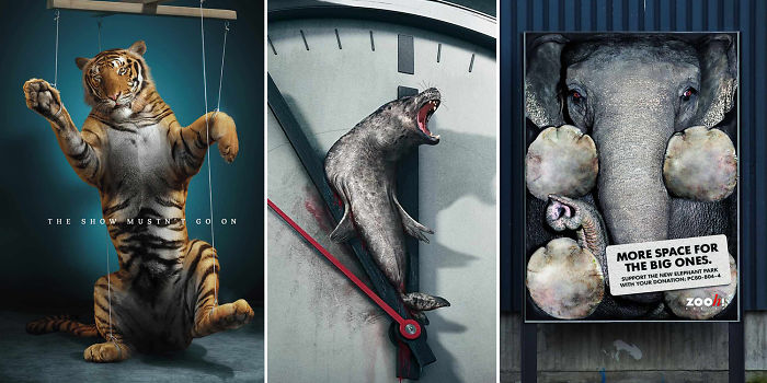 33 Powerful Animal Advertisement Examples That Tells The