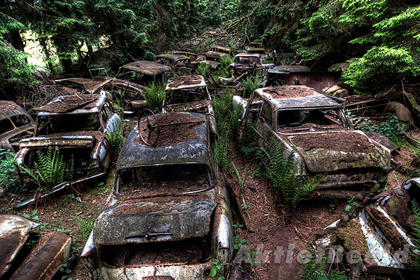 chatillon-car-graveyard-abandoned-cars-cemetery-belgium-10
