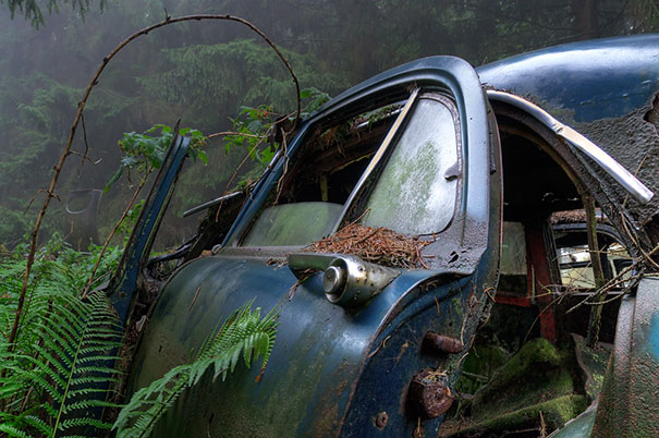 This Traffic Jam Was Stuck In Belgian Forest For 70 Years