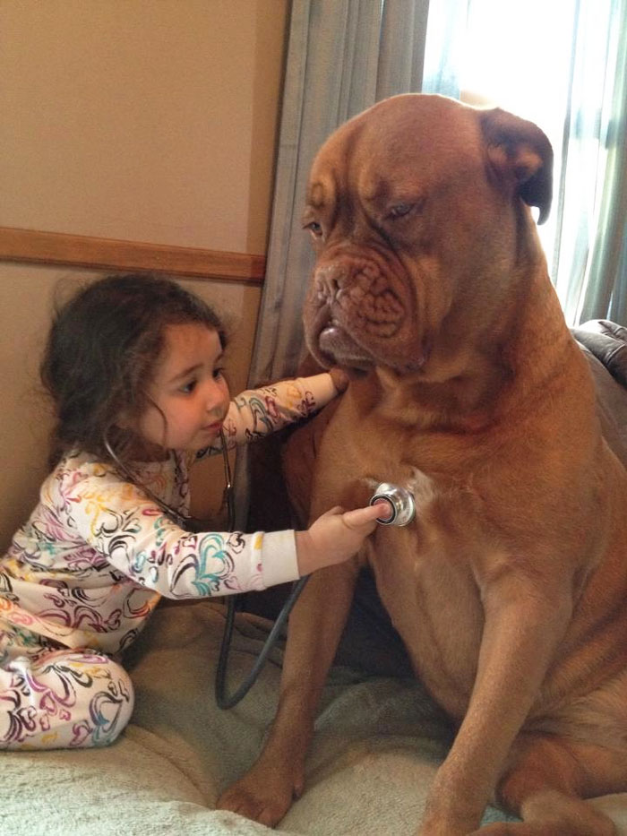 22 Little Kids And Their Big Dogs