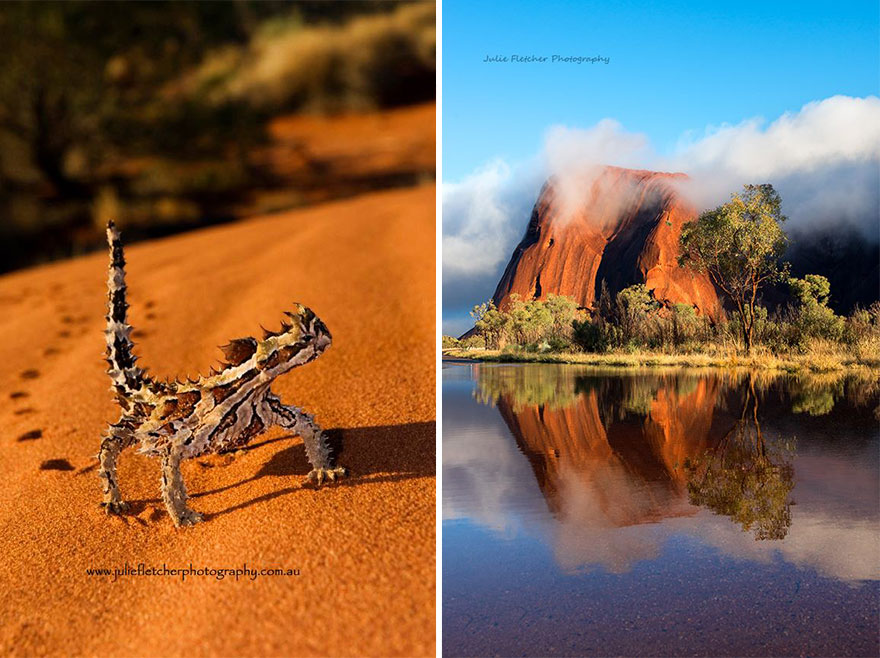 landscape-nature-photography-australia-julie-fletcher-9