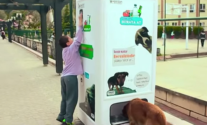 This Vending Machine Takes Bottles And Gives Food To Stray Dogs In Exchange