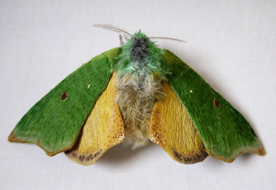 textile-sculptures-insects-moths-butterflies-yumi-okita-5