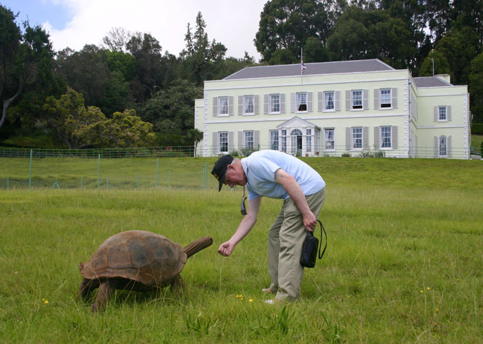 182-year-old-tortoise-jonathan-16