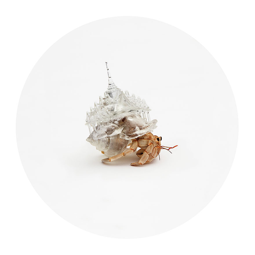 3d-printed-hermit-crab-architectural-shells-aki-inomata-1