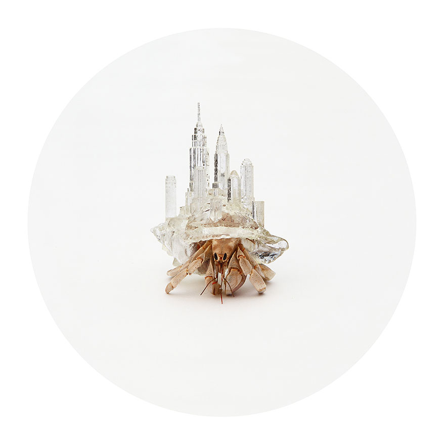 Artist 3D-Prints City-Shaped Shells For Hermit Crabs 