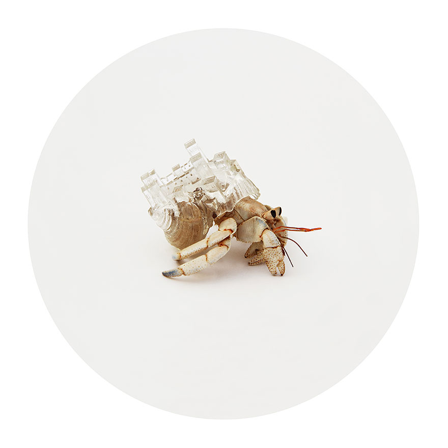 Artist 3D-Prints City-Shaped Shells For Hermit Crabs 