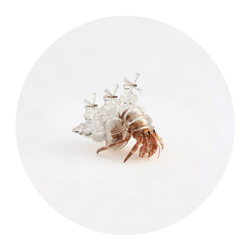 3d-printed-hermit-crab-architectural-shells-aki-inomata-6