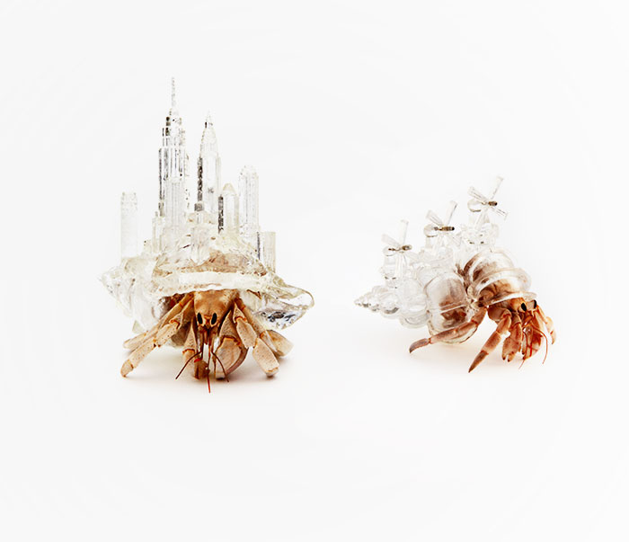 Artist 3D-Prints City-Shaped Shells For Hermit Crabs