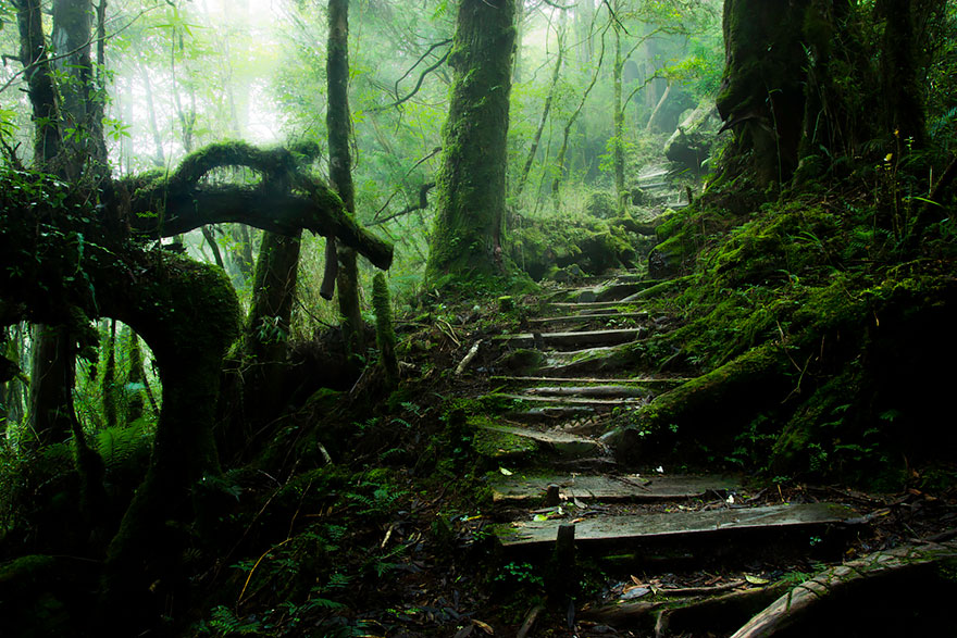 28 Magical Paths Begging To Be Walked