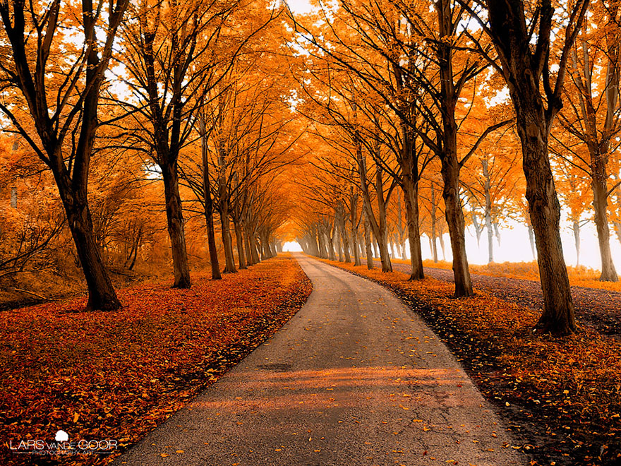 28 Magical Paths Begging To Be Walked