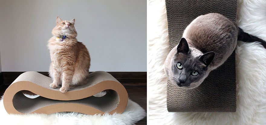 25 Awesome Furniture Design Ideas For Cat Lovers