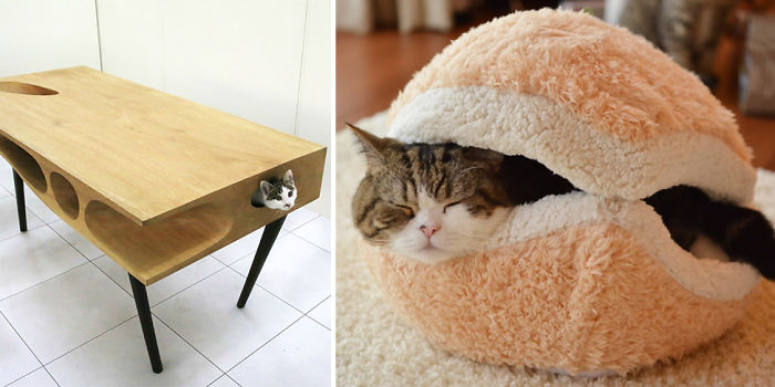 25 Awesome Furniture Design Ideas For, Best Sofa For Cat Owners