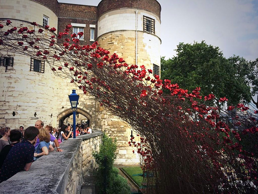 888,246 Poppies Pour Like Blood From The Tower Of London To Remember The Fallen Soldiers Of WWI