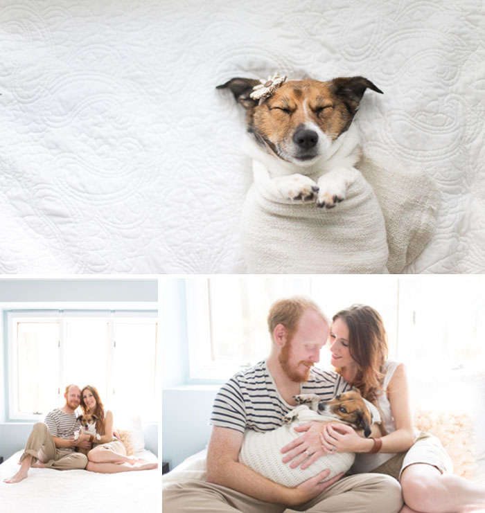 This Couple Took An Amazing Newborn Photoshoot… With Their Dog