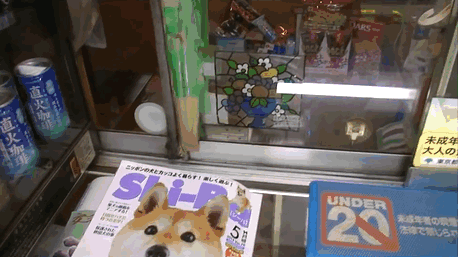 This Dog Opens The Window For Customers At A Small Cigarette Shop In Japan