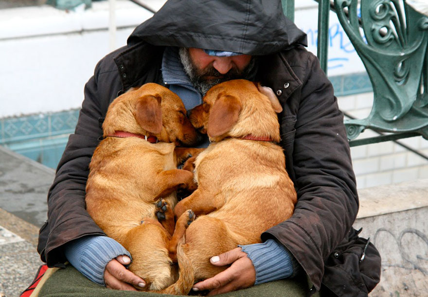 homeless-dogs-and-owners-12