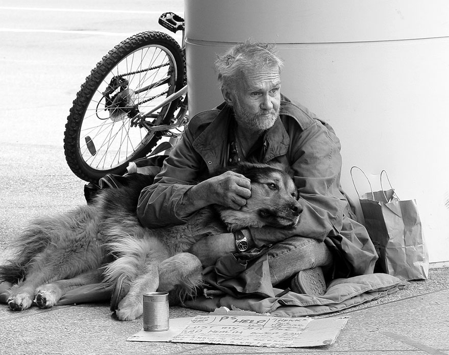 homeless-dogs-and-owners-16