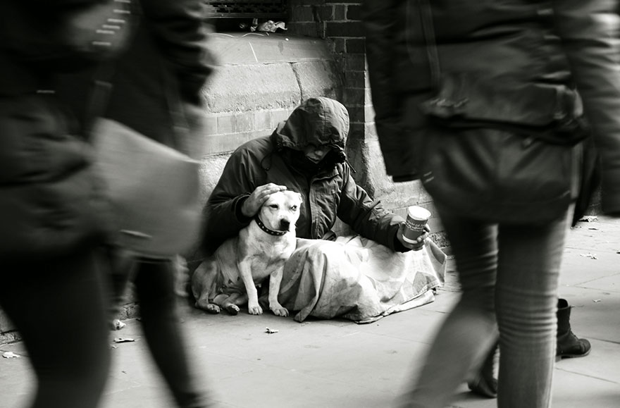 homeless-dogs-and-owners-6