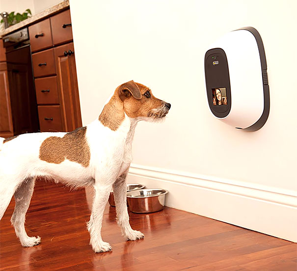 inventions-for-dog-lovers-13