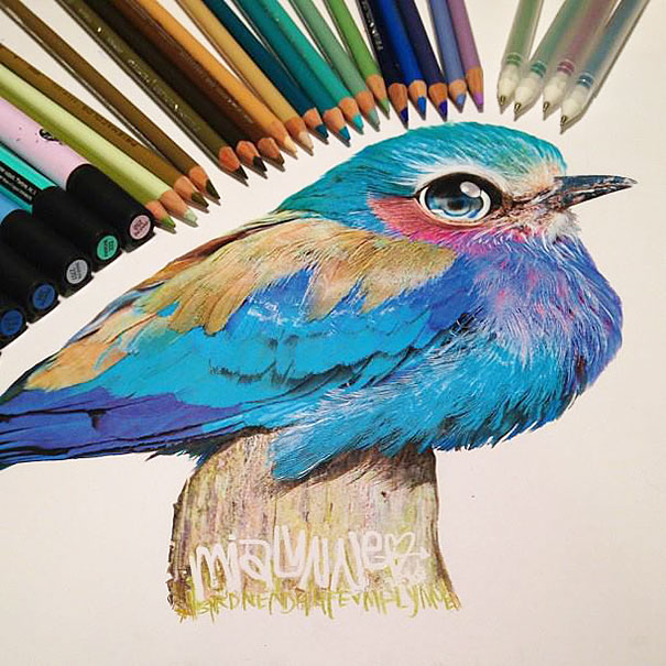 Realistic Animal Drawings Surrounded By The Tools Used To Create Them