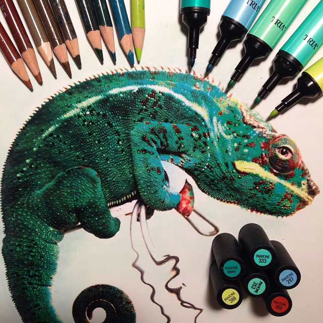 Realistic Animal Drawings Surrounded By The Tools Used To Create Them