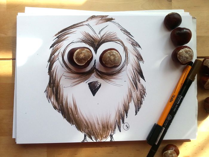 Chestnut Owl