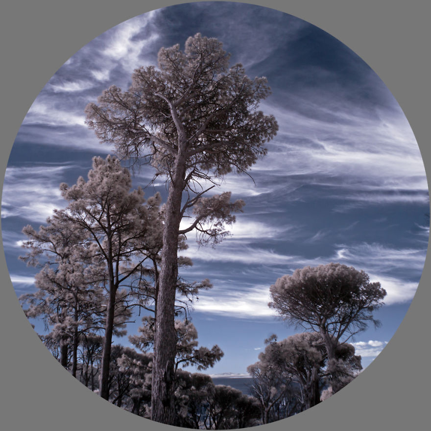 365 Days In Infrared: A Photography Project By Kate Davies