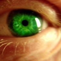 c.m.whitehouse avatar