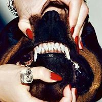 crypto.sonoro avatar