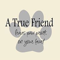 kathy.kauffman1 avatar