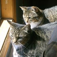 jaimey.niedjaco avatar