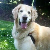 michael.thomas.90226628 avatar