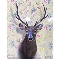 viviane.krokowski avatar