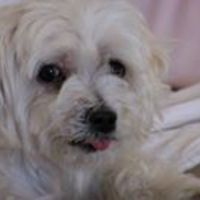 michelle.dill59 avatar