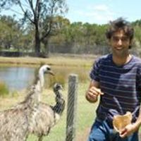 mahdi.jafarian.73 avatar